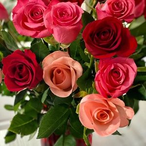 Meet your Posher, Enjolia